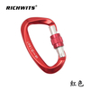Outdoor Sports Metal Aviation Aluminum D-type Automatic Carabiner Hook Yoga Lock