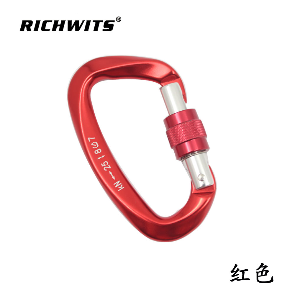 Outdoor Sports Metal Aviation Aluminum D-type Automatic Carabiner Hook Yoga Lock