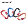 Outdoor Sports Metal Aviation Aluminum D-type Automatic Carabiner Hook Yoga Lock