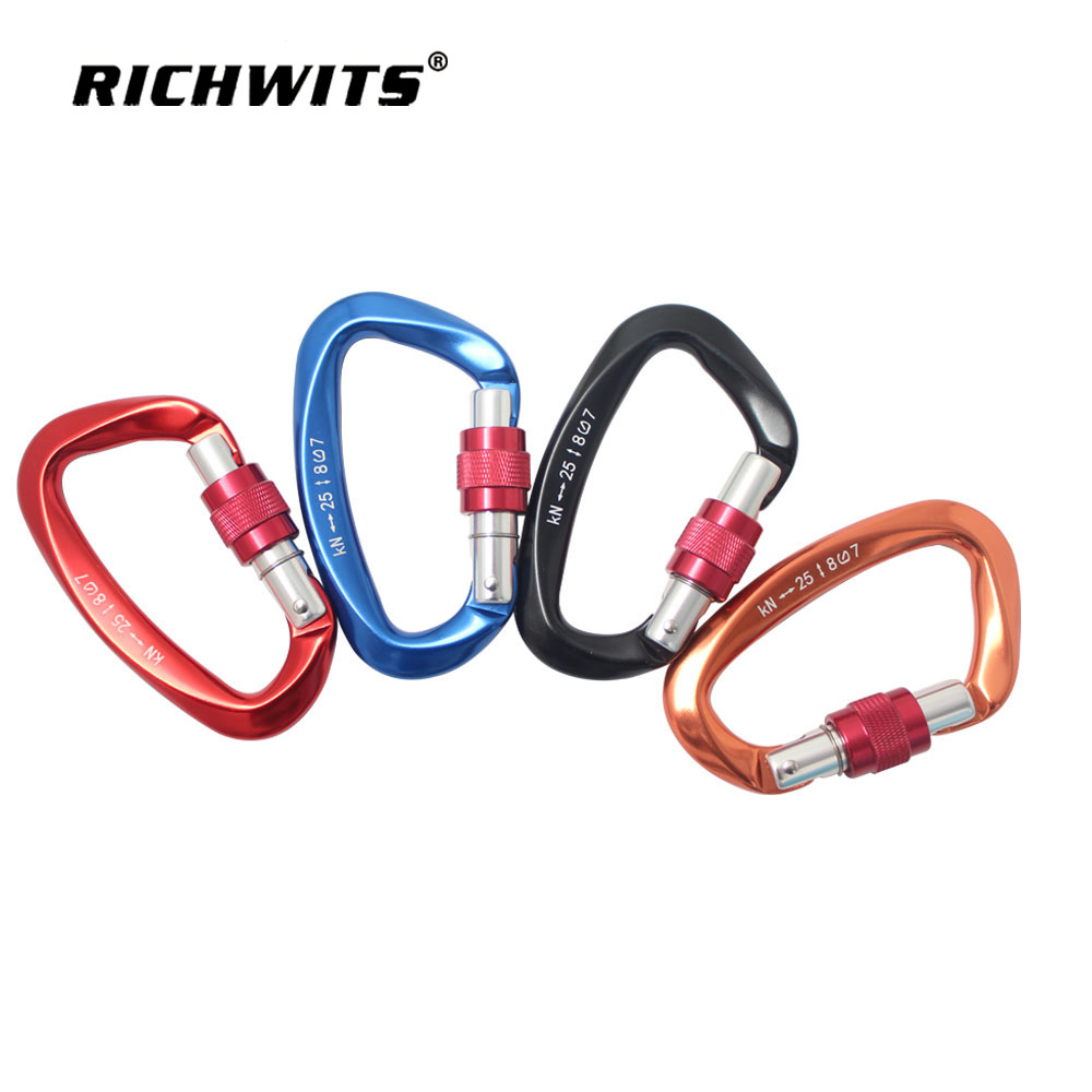 Outdoor Sports Metal Aviation Aluminum D-type Automatic Carabiner Hook Yoga Lock