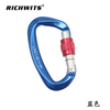 Outdoor Sports Metal Aviation Aluminum D-type Automatic Carabiner Hook Yoga Lock