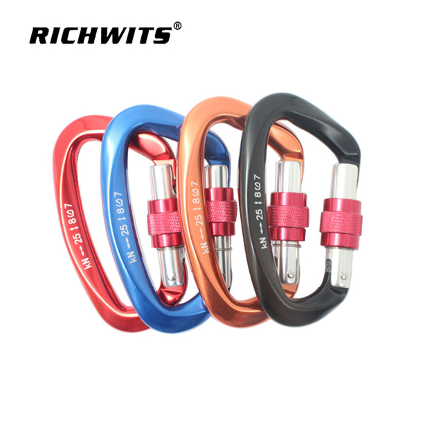 Outdoor Sports Metal Aviation Aluminum D-type Automatic Carabiner Hook Yoga Lock