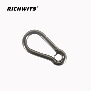 Hardware Accessories 316/304 Stainless Steel Carabiner Hook with Eyelet