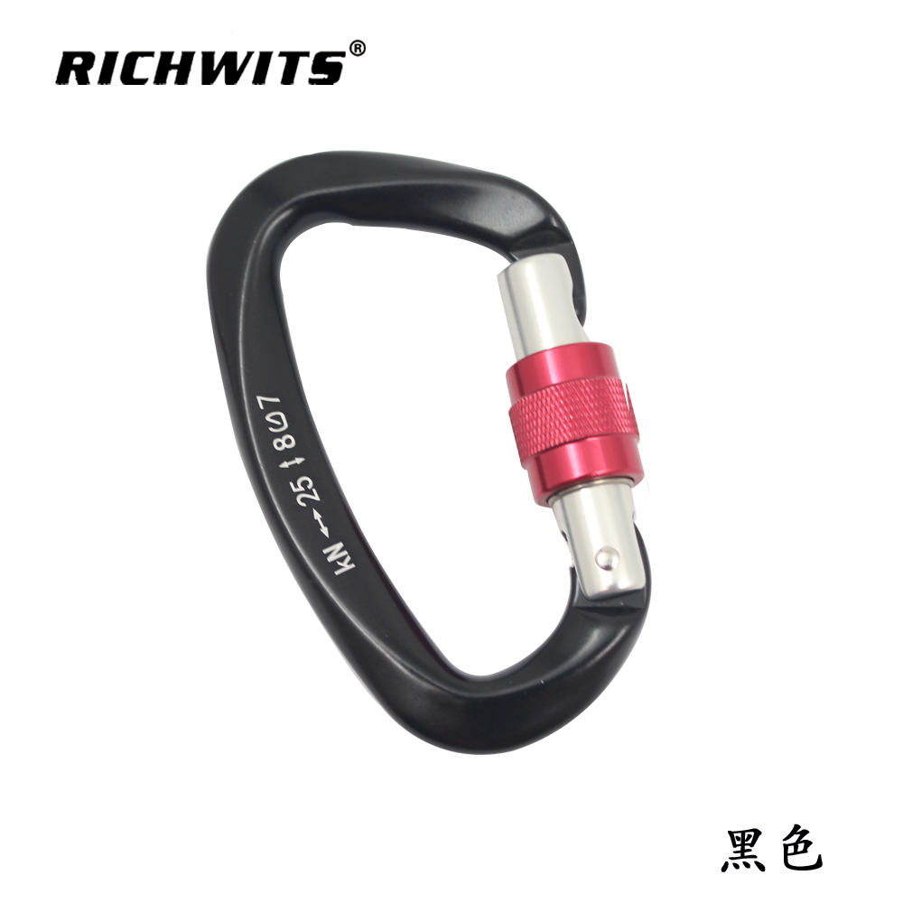 Outdoor Sports Metal Aviation Aluminum D-type Automatic Carabiner Hook Yoga Lock