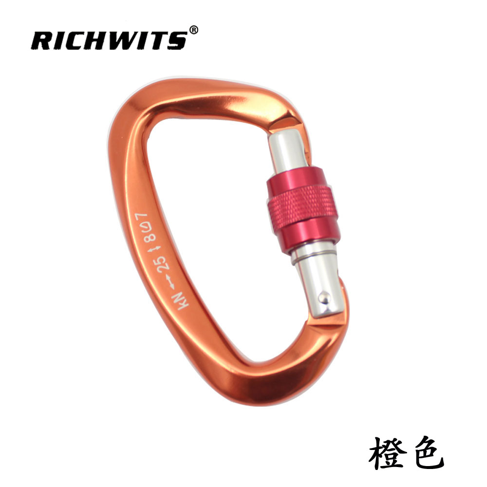 Outdoor Sports Metal Aviation Aluminum D-type Automatic Carabiner Hook Yoga Lock