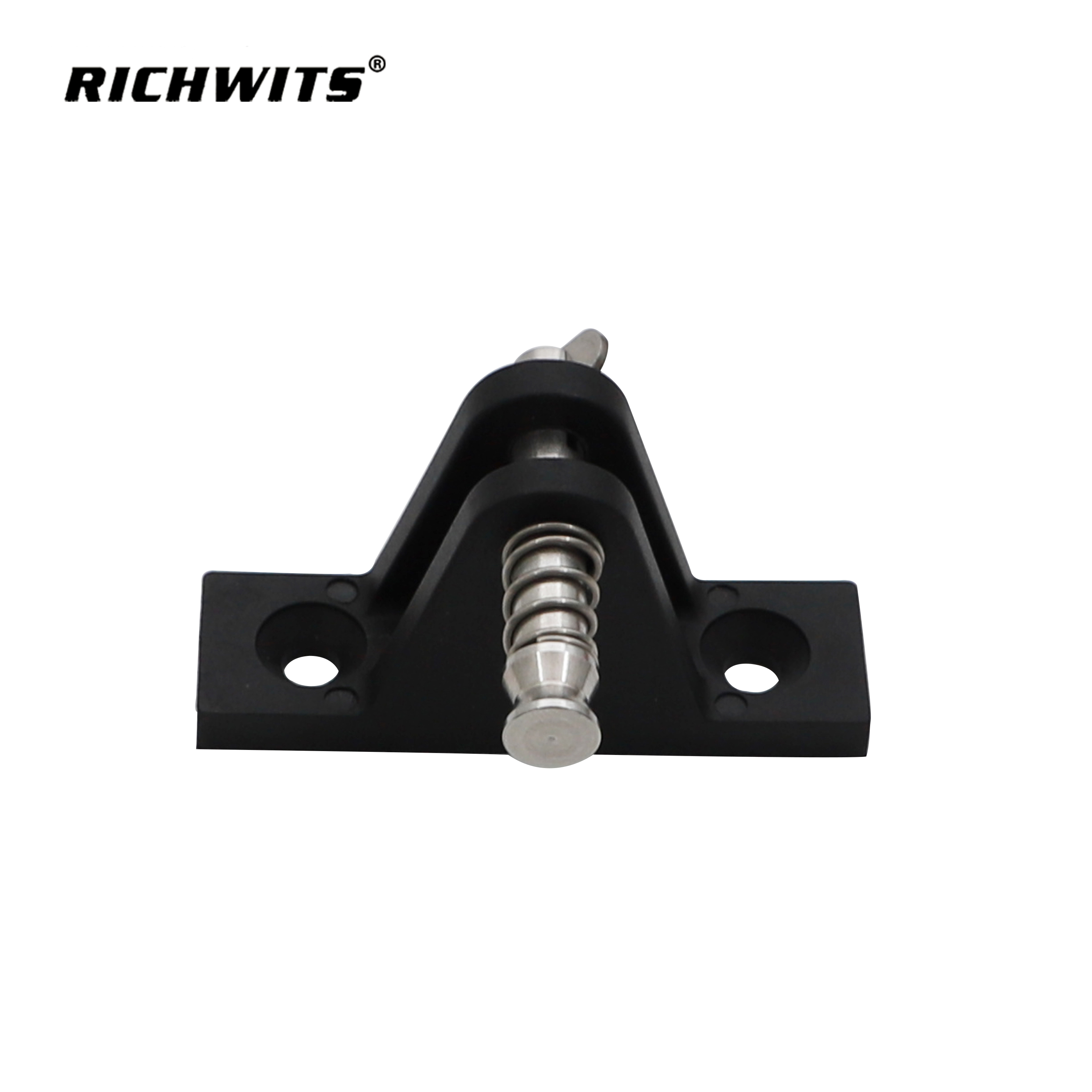 Factory Price RV Sunshade Accessories Plastic Nylon Spring Pull-out Mount Deck Hinge